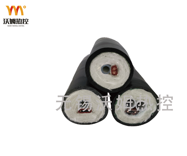 煙氣采樣管(新) 煙氣采樣管(新)